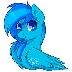 Size: 500x500 | Tagged: safe, artist:helithusvy, oc, oc only, pegasus, pony, blue, blue eyes, bust, pegasus oc, raffle winner, simple background, solo, transparent background