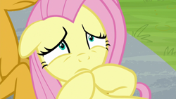 Size: 1920x1080 | Tagged: safe, screencap, fluttershy, snails, 2 4 6 greaaat, g4, hooves together, lying down, scared