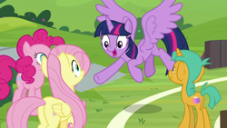 Size: 1920x1080 | Tagged: safe, screencap, pinkie pie, snails, twilight sparkle, alicorn, pony, 2 4 6 greaaat, g4, colt, female, foal, male, mare, twilight sparkle (alicorn)