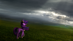 Size: 3840x2160 | Tagged: safe, artist:robin jacks, twilight sparkle, alicorn, pony, g4, cloud, crown, female, field, high res, hoof shoes, jewelry, mare, peytral, regalia, sky, solo, twilight sparkle (alicorn), windswept mane