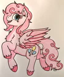 Size: 996x1200 | Tagged: safe, artist:shinycyan, pinkie pie, pegasus, pony, g4, g5 concept leak style, g5 concept leaks, pegasus pinkie pie, pinkie pie (g5 concept leak), race swap, redesign, traditional art, wings