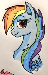 Size: 782x1200 | Tagged: safe, artist:shinycyan, rainbow dash, pegasus, pony, g4, bust, g5 concept leak style, g5 concept leaks, rainbow dash (g5 concept leak), redesign, traditional art, wings