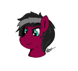 Size: 872x792 | Tagged: safe, artist:lucas_gaxiola, oc, oc only, earth pony, pony, bust, earth pony oc, male, signature, simple background, solo, stallion, white background