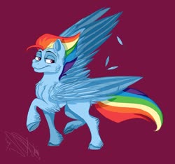 Size: 1024x959 | Tagged: safe, artist:pob-dawg, rainbow dash, pegasus, pony, g4, female, g5 concept leak style, g5 concept leaks, hooves, mare, rainbow dash (g5 concept leak), redesign, simple background, wings