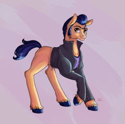 Size: 2645x2635 | Tagged: safe, artist:sourcherry, oc, oc only, oc:pretty wreck, earth pony, pony, aside glance, clothes, high res, jacket, leather jacket, male, missing cutie mark, pompadour, smiling, smiling at you, solo, stallion