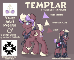 Size: 1100x900 | Tagged: safe, artist:azimooth, oc, oc only, oc:templar, pegasus, pony, ask thaumaturge pony, armor, male, reference sheet, solo, stallion
