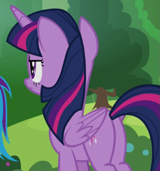 Size: 619x662 | Tagged: safe, screencap, rainbow dash, twilight sparkle, alicorn, pony, 2 4 6 greaaat, g4, butt, cropped, plot, twilight sparkle (alicorn)
