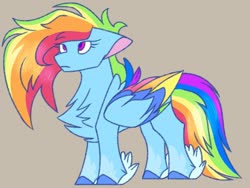 Size: 1280x960 | Tagged: safe, artist:ttat2s, rainbow dash, pegasus, pony, g4, chest fluff, colored wings, female, g5 concept leak style, g5 concept leaks, hooves, mare, multicolored wings, rainbow dash (g5 concept leak), rainbow wings, redesign, simple background, wings