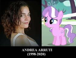 Size: 670x508 | Tagged: safe, diamond tiara, earth pony, human, pony, g4, andrea arruti, irl, irl human, mexico, photo, rest in peace, voice actor