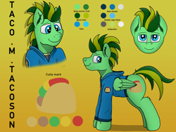 Size: 4032x3024 | Tagged: safe, artist:tacomytaco, oc, oc only, oc:taco.m.tacoson, pegasus, pony, clothes, gradient background, hoodie, male, reference sheet, solo