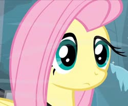 Size: 1296x1080 | Tagged: safe, screencap, fluttershy, pegasus, pony, g4, hearth's warming eve (episode), adorable face, bust, cropped, cute, female, hearth's warming, mare, portrait, solo