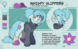 Size: 3189x2028 | Tagged: safe, artist:rexyseven, oc, oc only, oc:whispy slippers, earth pony, pony, clothes, female, floppy ears, glasses, high res, mare, reference sheet, slippers, socks, solo, sweater, turtleneck