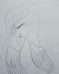 Size: 1080x1350 | Tagged: safe, artist:luluneusa, fluttershy, pegasus, pony, g4, eyes closed, female, mare, monochrome, sketch, solo, traditional art