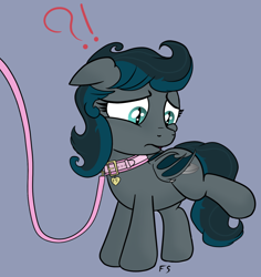 Size: 700x740 | Tagged: safe, artist:flyingsaucer, oc, oc:flying saucer, bat pony, pony, bat pony oc, collar, exclamation point, female, filly, interrobang, leash, pet tag, pony pet, question mark, rule 63, transformation