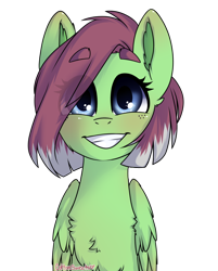 Size: 1100x1365 | Tagged: safe, artist:cottonsweets, oc, oc only, oc:watermelon success, pegasus, pony, commission, female, looking at you, smiling, solo
