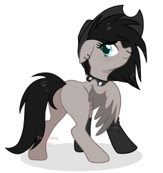 Size: 1125x1194 | Tagged: safe, artist:darkpathwalker9900, oc, oc only, pegasus, pony, female, hat, mare, simple background, solo, transparent background