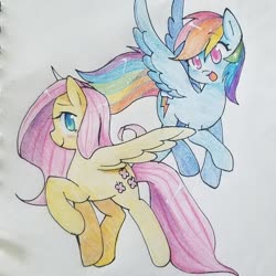 Size: 1080x1080 | Tagged: safe, artist:luluneusa, fluttershy, rainbow dash, pegasus, pony, g4, colored pencil drawing, colored pupils, duo, female, mare, open mouth, raised hoof, smiling, spread wings, traditional art, wings