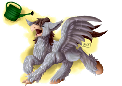 Size: 1600x1132 | Tagged: safe, artist:julunis14, oc, oc only, oc:luxor, hippogriff, beak, commission, eyes closed, happy, simple background, solo, transparent background, water, watering can, wet