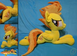 Size: 1280x926 | Tagged: safe, artist:whirlwindflux, spitfire, pegasus, pony, g4, female, folded wings, irl, mare, photo, plushie, prone, solo, wings
