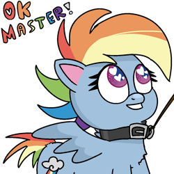 Size: 1024x1024 | Tagged: safe, artist:poniidesu, rainbow dash, pegasus, pony, g4.5, my little pony: pony life, collar, female, femsub, heart eyes, leash, looking up, mare, master, meme, ok boomer, pet play, pet-dash, simple background, smiling, solo, speech, submissive, text, transparent background, wingding eyes, wings