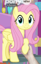 Size: 425x665 | Tagged: safe, edit, edited screencap, editor:hotkinkajou, screencap, fluttershy, human, pegasus, pony, g4, season 9, she's all yak, animated, cropped, cute, dancing, disembodied hand, female, gif, hand, holding hands, holding hooves, hotkinkajou is trying to murder us, mare, party soft, shyabetes, smiling