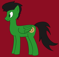 Size: 1000x954 | Tagged: safe, artist:bad_karma, oc, oc only, oc:karma, pegasus, pony, male, red background, simple background, stallion, standing