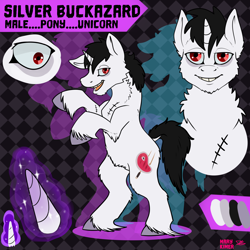 Size: 5000x5000 | Tagged: safe, artist:marykimer, oc, oc only, pony, unicorn, abstract background, cannibal, rearing, reference sheet, scar, solo, unshorn fetlocks, white fur