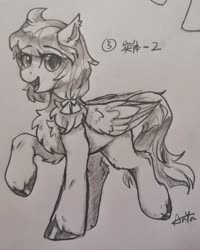 Size: 1639x2048 | Tagged: safe, artist:peaceanya0206, oc, oc only, pegasus, pony, solo