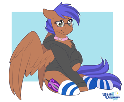 Size: 2637x2170 | Tagged: safe, artist:xwhitedreamsx, oc, oc only, oc:odissey flash, pegasus, pony, clothes, collar, female, glasses, high res, hoodie, mare, socks, solo, striped socks