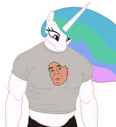 Size: 624x684 | Tagged: safe, artist:urkel, derpibooru exclusive, princess celestia, anthro, g4, are you sure about that, clothes, john cena, male, meme, missing accessory, muscles, playing with fire, princess musclestia, role reversal, shirt, simple background, solo, trace, transparent background