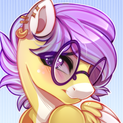 Size: 600x600 | Tagged: safe, artist:cabbage-arts, oc, oc only, oc:spunky dart, pegasus, pony, bust, cute, glasses, male, pegasus oc, portrait, shy, solo, stallion