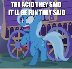 Size: 482x465 | Tagged: safe, edit, edited screencap, screencap, trixie, pony, g4, to where and back again, caption, cropped, drugs, female, image macro, lsd, meme, solo, text, tripping, trixie's wagon