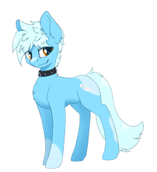 Size: 907x989 | Tagged: safe, artist:wbp, derpibooru exclusive, oc, oc only, oc:rin (wildbatpony), earth pony, pony, collar, male, simple background, solo, spots, stallion, transparent background
