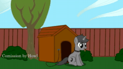 Size: 1280x720 | Tagged: safe, artist:shelikof launch, derpibooru exclusive, oc, oc only, oc:howl, pony, unicorn, animated, behaving like a dog, collar, commission, female, gray coat, gray eyes, gray mane, gray tail, horn, jumping, mare, panting, show accurate, sitting, solo, sound, spiked collar, unicorn oc, webm