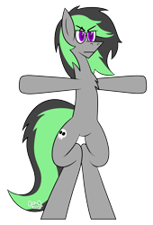 Size: 1500x2200 | Tagged: safe, artist:b-cacto, oc, oc only, oc:elli, earth pony, pony, asserting dominance, bipedal, male, simple background, solo, stallion, t pose, transparent background