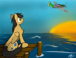 Size: 5200x4000 | Tagged: safe, artist:flywheel, oc, oc only, oc:crisom chin, pegasus, pony, aircraft, ocean, p-51 mustang, pier, plane, sitting, solo, sunrise, sunset, wings