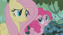 Size: 1920x1080 | Tagged: safe, screencap, fluttershy, pinkie pie, bridle gossip, g4, everfree forest