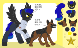 Size: 1465x900 | Tagged: safe, artist:99999999000, oc, oc:mar feng ren, dog, pegasus, pony, angry, chinese, clothes, female, fierce, gun, police officer, reference sheet, weapon