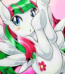 Size: 1803x2048 | Tagged: safe, artist:025aki, blossomforth, pegasus, pony, g4, blushing, female, looking at you, mare, solo, traditional art