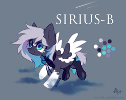 Size: 2560x2025 | Tagged: safe, artist:alkit_is_not_me, oc, oc only, oc:sirius-b, pegasus, pony, happy, high res, reference sheet, smiling, solo, spread wings, text, wings