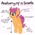 Size: 2048x2048 | Tagged: safe, artist:partypievt, scootaloo, pegasus, pony, g4, anatomy, anatomy guide, arrow, cute, cutealoo, eye clipping through hair, female, filly, happy, heart, high res, open mouth, simple background, smiling, solo, sparkles, spread wings, starry eyes, stars, text, tol, vulgar description, white background, wingding eyes, wings
