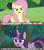 Size: 1280x1440 | Tagged: safe, edit, edited screencap, screencap, fluttershy, mean twilight sparkle, twilight sparkle, alicorn, pegasus, pony, fluttershy leans in, g4, the mean 6, caption, clone, female, image macro, meme, text, twilight sparkle (alicorn)