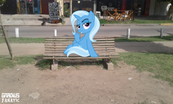 Size: 2560x1536 | Tagged: safe, artist:gradiusfanatic, trixie, dog, pony, g4, bench, irl, photo, ponies in real life, solo