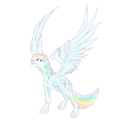 Size: 1680x1680 | Tagged: safe, artist:univertaz, rainbow dash, pony, g4, female, simple background, solo, white background