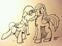 Size: 816x612 | Tagged: safe, artist:lucas_gaxiola, oc, oc only, pegasus, pony, blushing, clothes, eyes closed, female, glasses, kissing, lineart, male, mare, oc x oc, pegasus oc, scarf, shipping, signature, stallion, traditional art, unshorn fetlocks, wings