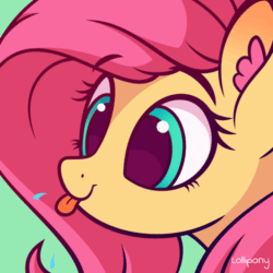 Size: 500x500 | Tagged: safe, artist:lollipony, part of a set, fluttershy, pegasus, pony, g4, :p, animated, bust, cute, ear fluff, female, green background, mare, portrait, raspberry, raspberry noise, shyabetes, silly, silly pony, simple background, solo, spit, tongue out
