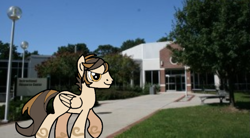 Size: 737x406 | Tagged: safe, artist:didgereethebrony, oc, oc only, oc:bronze filigree, pegasus, pony, base used, determined, irl, photo, ponies in real life, solo, trace