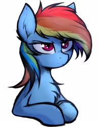 Size: 1666x2160 | Tagged: safe, artist:tatykin, rainbow dash, pony, g4, bust, chest fluff, ear fluff, female, simple background, solo, white background