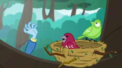 Size: 1280x720 | Tagged: safe, screencap, trixie, bird, a little birdie told me, equestria girls, g4, my little pony equestria girls: better together, bird nest, female, hand, nest, solo, tree, tree branch