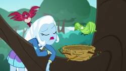Size: 1280x720 | Tagged: safe, screencap, trixie, bird, a little birdie told me, equestria girls, g4, my little pony equestria girls: better together, bird nest, female, nest, solo, tree, tree branch